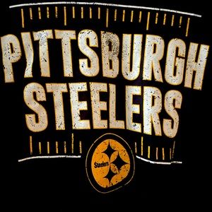 Fanatics Pittsburgh Steelers Hometown Long Sleeve Tee